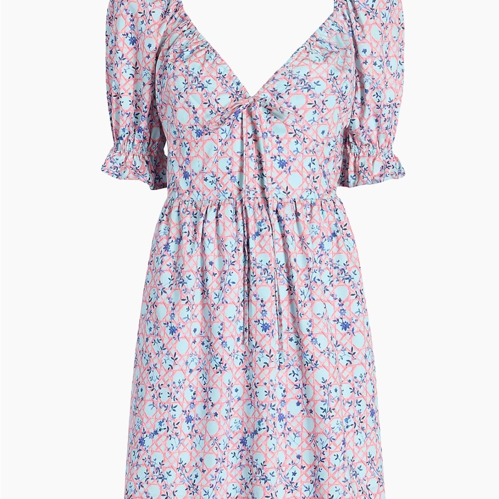 Floral Pink and Blue Women's Dress
